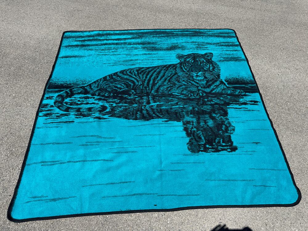 San Marcos Tiger Blue Throw Blanket 77x76" Reversible Bedding ~ 260612-WH 1114